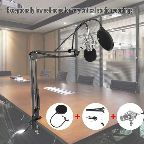 Professional Condenser Sound Recording Microphone With Mount Holder For Karaoke Radio Braodcasting Singing Pro Audio Studio