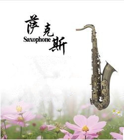 2017 new DHL free shipping Selmer B flat tenor saxophone  wind orchestra Brass body professional performance
